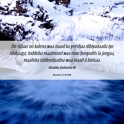 Picture 06 - Baxniintii 22:30 SOM - Oo sidaas oo kalena waa inaad ka yeeshaa - Bible Verse Picture