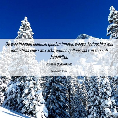 Picture 06 - Baxniintii 23:8 SOM - Oo waa inaadan laaluush qaadan innaba; waayo, - Bible Verse Picture