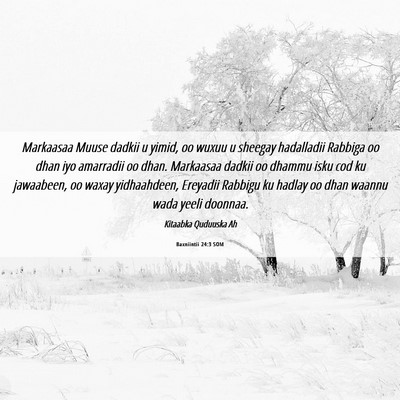 Picture 06 - Baxniintii 24:3 SOM - Markaasaa Muuse dadkii u yimid, oo wuxuu u - Bible Verse Picture