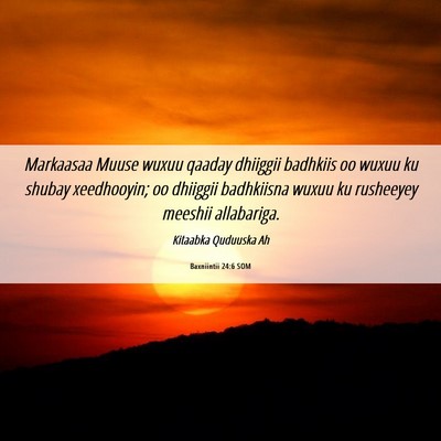 Picture 06 - Baxniintii 24:6 SOM - Markaasaa Muuse wuxuu qaaday dhiiggii badhkiis oo - Bible Verse Picture