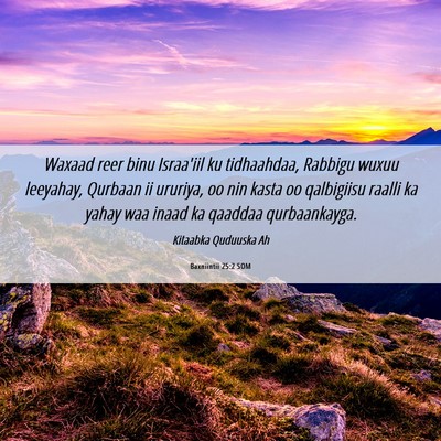 Picture 06 - Baxniintii 25:2 SOM - Waxaad reer binu Israa'iil ku tidhaahdaa, Rabbigu - Bible Verse Picture