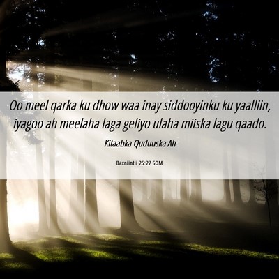 Picture 06 - Baxniintii 25:27 SOM - Oo meel qarka ku dhow waa inay siddooyinku ku - Bible Verse Picture