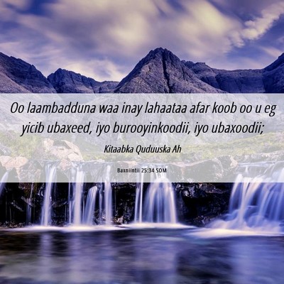 Picture 06 - Baxniintii 25:34 SOM - Oo laambadduna waa inay lahaataa afar koob oo u - Bible Verse Picture