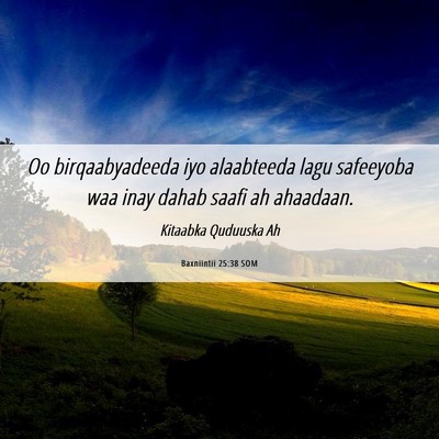 Picture 06 - Baxniintii 25:38 SOM - Oo birqaabyadeeda iyo alaabteeda lagu safeeyoba - Bible Verse Picture