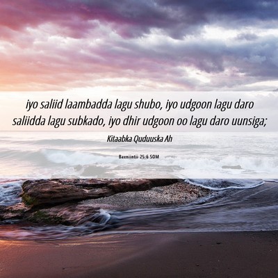 Picture 06 - Baxniintii 25:6 SOM - iyo saliid laambadda lagu shubo, iyo udgoon lagu - Bible Verse Picture