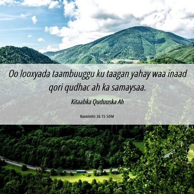 Picture 06 - Baxniintii 26:15 SOM - Oo looxyada taambuuggu ku taagan yahay waa inaad - Bible Verse Picture