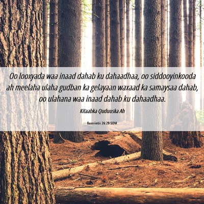 Picture 06 - Baxniintii 26:29 SOM - Oo looxyada waa inaad dahab ku dahaadhaa, oo - Bible Verse Picture
