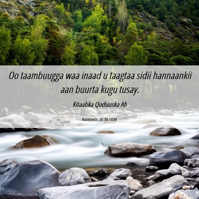 Picture 06 - Baxniintii 26:30 SOM - Oo taambuugga waa inaad u taagtaa sidii - Bible Verse Picture