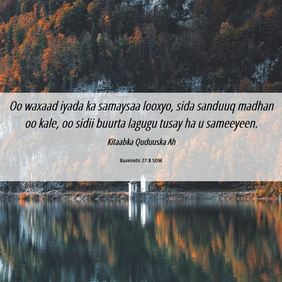 Picture 06 - Baxniintii 27:8 SOM - Oo waxaad iyada ka samaysaa looxyo, sida sanduuq - Bible Verse Picture