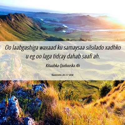 Picture 06 - Baxniintii 28:22 SOM - Oo laabgashiga waxaad ku samaysaa silsilado - Bible Verse Picture