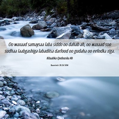 Picture 06 - Baxniintii 28:26 SOM - Oo waxaad samaysaa laba siddo oo dahab ah, oo - Bible Verse Picture