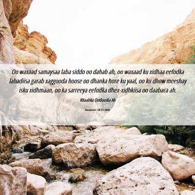 Picture 06 - Baxniintii 28:27 SOM - Oo waxaad samaysaa laba siddo oo dahab ah, oo - Bible Verse Picture