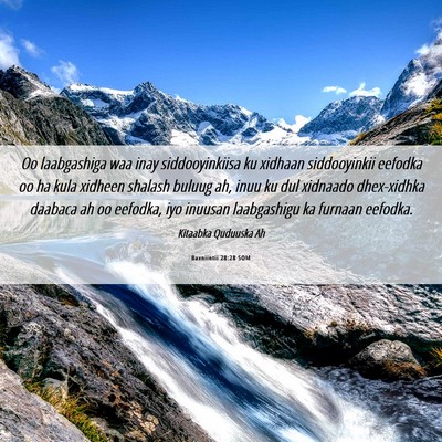 Picture 06 - Baxniintii 28:28 SOM - Oo laabgashiga waa inay siddooyinkiisa ku xidhaan - Bible Verse Picture