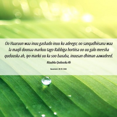 Picture 06 - Baxniintii 28:35 SOM - Oo Haaruun waa inuu gashado inuu ku adeego; oo - Bible Verse Picture