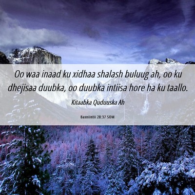 Picture 06 - Baxniintii 28:37 SOM - Oo waa inaad ku xidhaa shalash buluug ah, oo ku - Bible Verse Picture