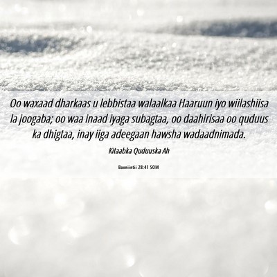 Picture 06 - Baxniintii 28:41 SOM - Oo waxaad dharkaas u lebbistaa walaalkaa Haaruun - Bible Verse Picture