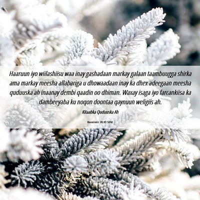 Picture 06 - Baxniintii 28:43 SOM - Haaruun iyo wiilashiisu waa inay gashadaan markay - Bible Verse Picture