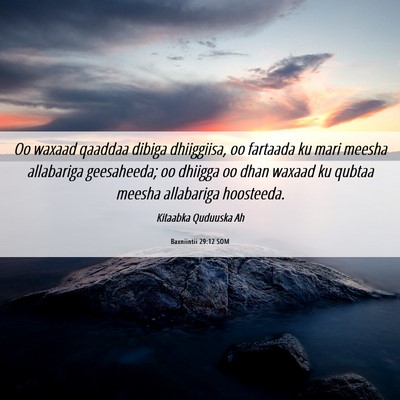 Picture 06 - Baxniintii 29:12 SOM - Oo waxaad qaaddaa dibiga dhiiggiisa, oo fartaada - Bible Verse Picture