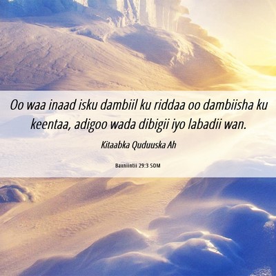 Picture 06 - Baxniintii 29:3 SOM - Oo waa inaad isku dambiil ku riddaa oo dambiisha - Bible Verse Picture
