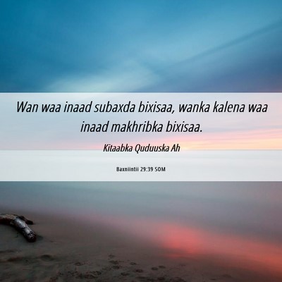 Picture 06 - Baxniintii 29:39 SOM - Wan waa inaad subaxda bixisaa, wanka kalena waa - Bible Verse Picture