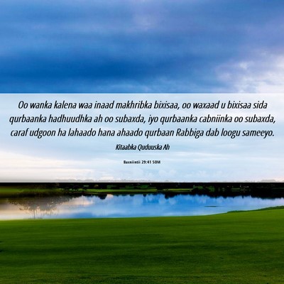Picture 06 - Baxniintii 29:41 SOM - Oo wanka kalena waa inaad makhribka bixisaa, oo - Bible Verse Picture
