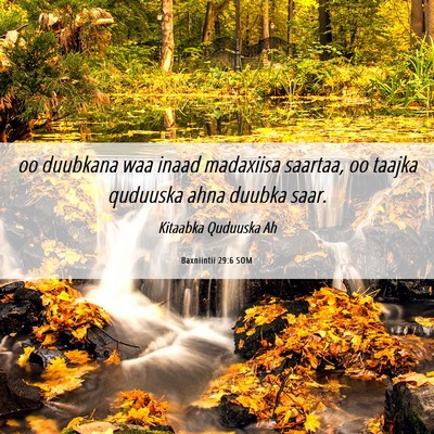 Picture 06 - Baxniintii 29:6 SOM - oo duubkana waa inaad madaxiisa saartaa, oo - Bible Verse Picture