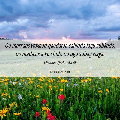 Picture 06 - Baxniintii 29:7 SOM - Oo markaas waxaad qaadataa saliidda lagu subkado, - Bible Verse Picture