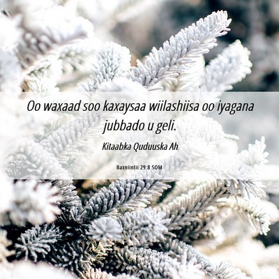 Picture 06 - Baxniintii 29:8 SOM - Oo waxaad soo kaxaysaa wiilashiisa oo iyagana - Bible Verse Picture