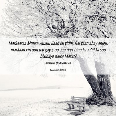 Picture 06 - Baxniintii 3:11 SOM - Markaasaa Muuse wuxuu Ilaah ku yidhi, Bal yaan - Bible Verse Picture