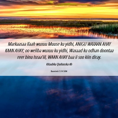 Picture 06 - Baxniintii 3:14 SOM - Markaasaa Ilaah wuxuu Muuse ku yidhi, ANIGU - Bible Verse Picture