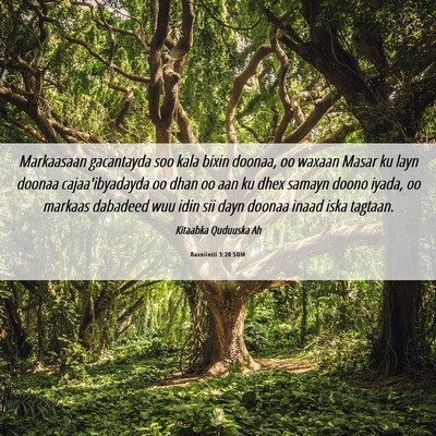 Picture 06 - Baxniintii 3:20 SOM - Markaasaan gacantayda soo kala bixin doonaa, oo - Bible Verse Picture