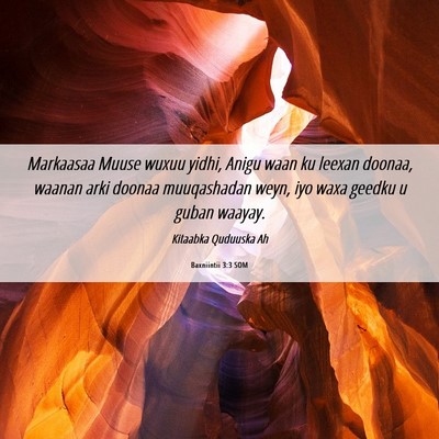 Picture 06 - Baxniintii 3:3 SOM - Markaasaa Muuse wuxuu yidhi, Anigu waan ku leexan - Bible Verse Picture