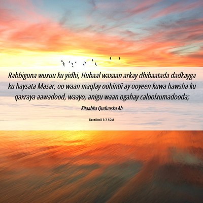 Picture 06 - Baxniintii 3:7 SOM - Rabbiguna wuxuu ku yidhi, Hubaal waxaan arkay - Bible Verse Picture