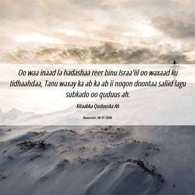 Picture 06 - Baxniintii 30:31 SOM - Oo waa inaad la hadashaa reer binu Israa'iil oo - Bible Verse Picture