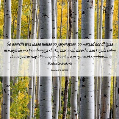 Picture 06 - Baxniintii 30:36 SOM - Oo qaarkiis waa inaad tuntaa oo yaryaraysaa, oo - Bible Verse Picture