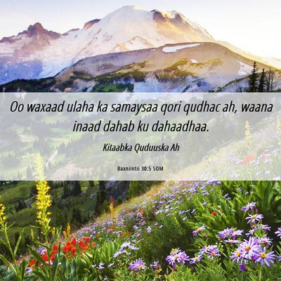 Picture 06 - Baxniintii 30:5 SOM - Oo waxaad ulaha ka samaysaa qori qudhac ah, waana - Bible Verse Picture