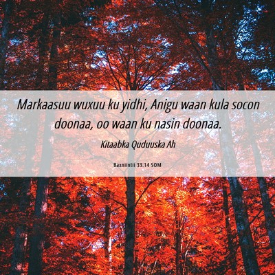Picture 06 - Baxniintii 33:14 SOM - Markaasuu wuxuu ku yidhi, Anigu waan kula socon - Bible Verse Picture