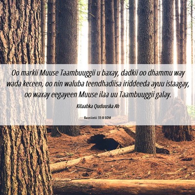 Picture 06 - Baxniintii 33:8 SOM - Oo markii Muuse Taambuuggii u baxay, dadkii oo - Bible Verse Picture