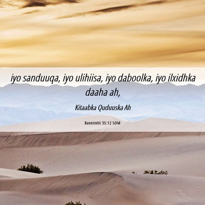 Picture 06 - Baxniintii 35:12 SOM - iyo sanduuqa, iyo ulihiisa, iyo daboolka, iyo - Bible Verse Picture