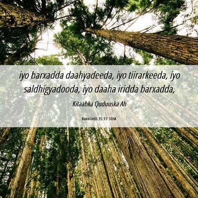Picture 06 - Baxniintii 35:17 SOM - iyo barxadda daahyadeeda, iyo tiirarkeeda, iyo - Bible Verse Picture