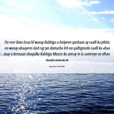Picture 06 - Baxniintii 35:29 SOM - Oo reer binu Israa'iil waxay Rabbiga u bixiyeen - Bible Verse Picture