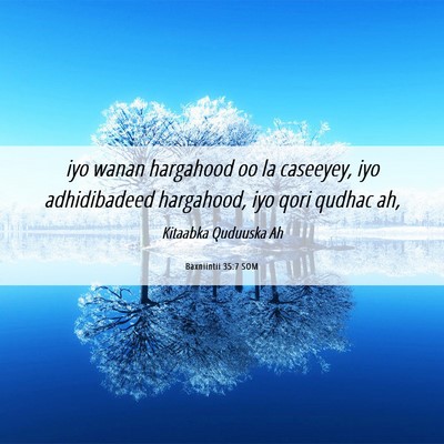 Picture 06 - Baxniintii 35:7 SOM - iyo wanan hargahood oo la caseeyey, iyo - Bible Verse Picture