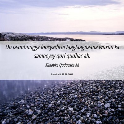 Picture 06 - Baxniintii 36:20 SOM - Oo taambuugga looxyadiisii taagtaagnaana wuxuu ka - Bible Verse Picture