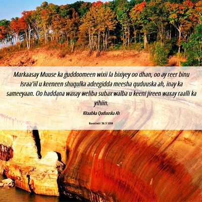 Picture 06 - Baxniintii 36:3 SOM - Markaasay Muuse ka guddoomeen wixii la bixiyey oo - Bible Verse Picture