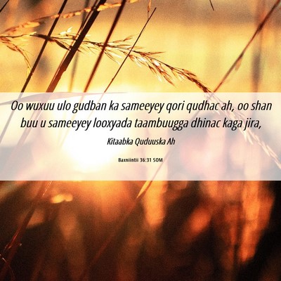 Picture 06 - Baxniintii 36:31 SOM - Oo wuxuu ulo gudban ka sameeyey qori qudhac ah, - Bible Verse Picture