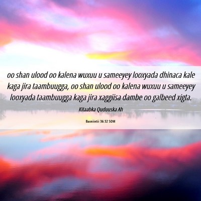 Picture 06 - Baxniintii 36:32 SOM - oo shan ulood oo kalena wuxuu u sameeyey looxyada - Bible Verse Picture