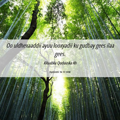 Picture 06 - Baxniintii 36:33 SOM - Oo uldhexaaddii ayuu looxyadii ku gudbay gees - Bible Verse Picture