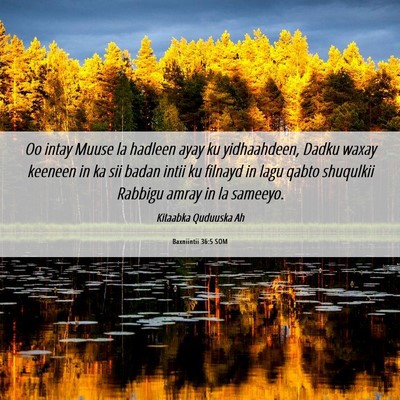 Picture 06 - Baxniintii 36:5 SOM - Oo intay Muuse la hadleen ayay ku yidhaahdeen, - Bible Verse Picture