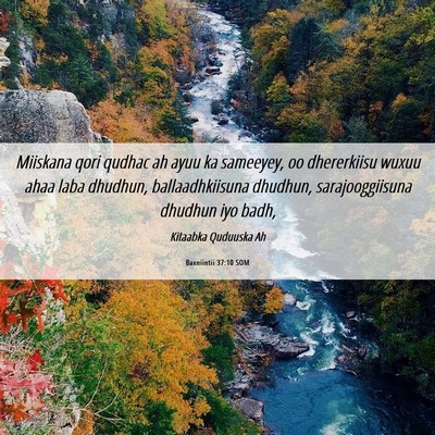 Picture 06 - Baxniintii 37:10 SOM - Miiskana qori qudhac ah ayuu ka sameeyey, oo - Bible Verse Picture