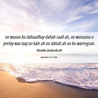 Picture 06 - Baxniintii 37:11 SOM - oo wuxuu ku dahaadhay dahab saafi ah, oo wuxuuna - Bible Verse Picture